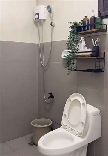 Lysol Disinfectant Toilet Bowl Cleaner Review