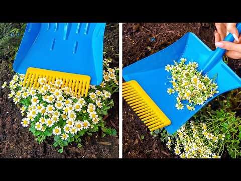 Clever hacks for Green and Blossom Garden