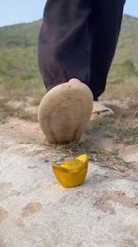 Survival Skills: SMART idea and USEFUL #bushcraft#camping#outdoors#survival