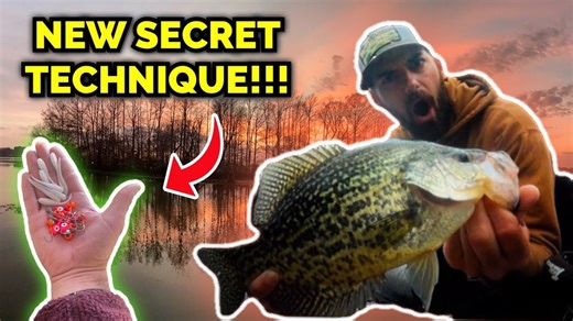 Secret crappie fishing technique works unbelievably well