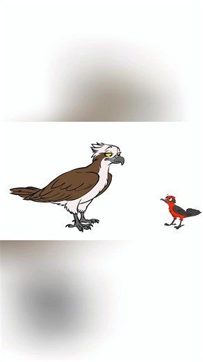 Fat Chance #animation | you me beautiful egg now dinosaur