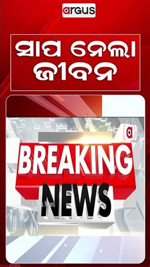 Brother-Sister Duo Dies Due To Snake Bite While Sleeping In Sundargarh | Argus News