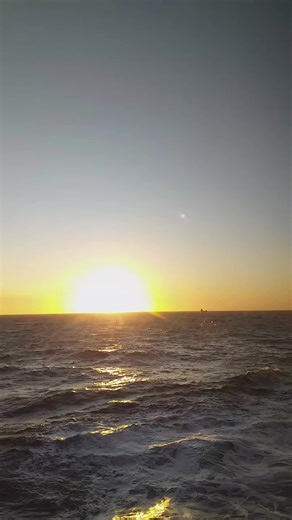 best part of being on a cruise ship!😍 #cruise #sunset #ocean #fyp #viral @MSC Cruises Official @MSC Cruises US @AIDA @TUI Cruises | Mein Schiff @msccrociere @Norwegian Cruise Line @Celebrity Cruises @Royal Caribbean @carnival