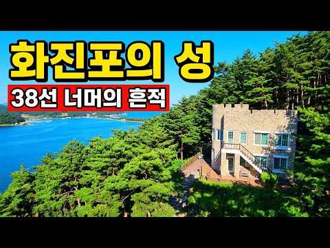 세계유일 한국에만 있는 동해바다 북쪽을 바라보고 지은 소나무숲속 으리으리한 돌 별장 #오지산골다큐