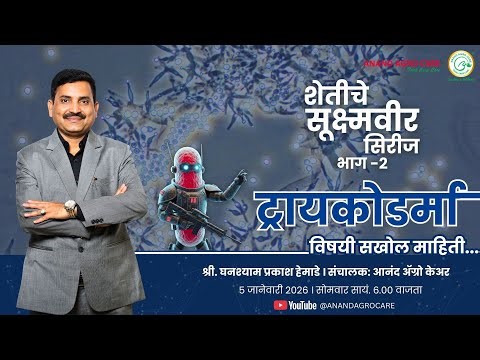 शेतीतील सुक्ष्मवीर : भाग २ - ट्रायकोडर्मा | ट्रायकोडर्माचा वापर कसा करावा #trichoderma Application