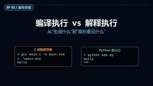 【从C到Python】第二集:放弃寻找main函数！Python运行的入口是哪里？