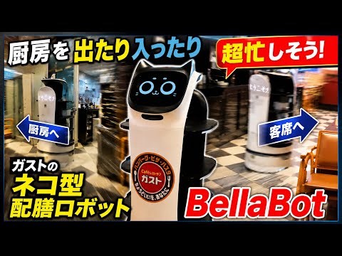 厨房を出たり入ったり 超忙しそうなガストのネコ型配膳ロボット「BellaBot」