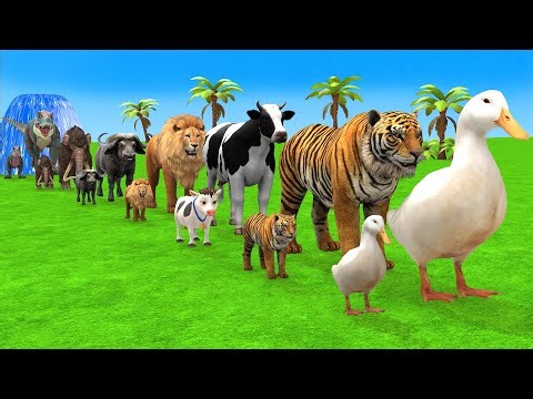 Long Slide Game With Elephant Gorilla Buffalo Hippopotamus Tiger - 3d Animal Game - Funny 3d Animals