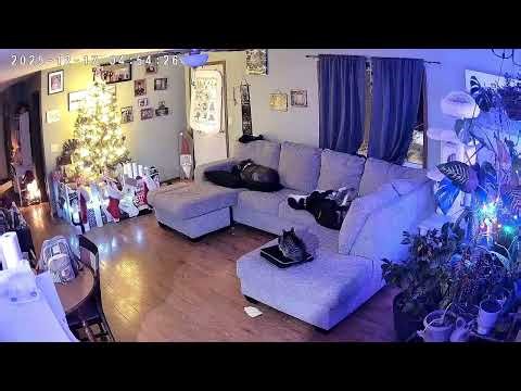 Buckwheat Falls Off the Couch || ViralHog