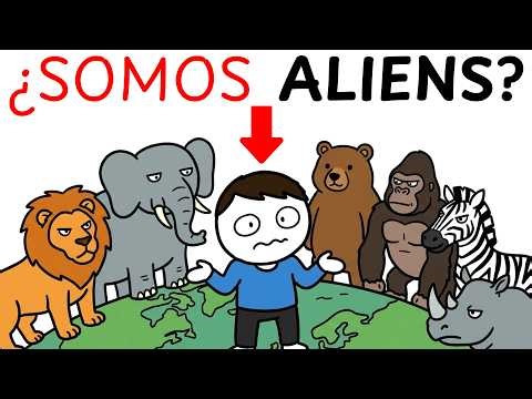 Y Si NOSOTROS Somos Los Alienígenas?