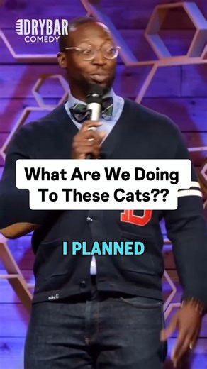 What we doin to these cats?!? Tickets to the Open Mike Tour 🎤 at MikeGoodwin.com #cats #weirdexpressions #weird #expressions | Comedian Mike Goodwin