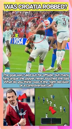 Croatia's Disallowed Goal Has Football Fans Furious!