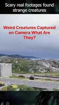 Weird Creatures Captured on Camera What Are They? #humanoid #ShadowFigure #Ghost #Alien #weird