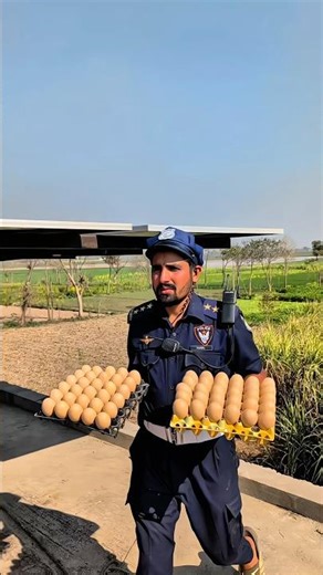 "Spiderman used Aladdin's carpet to save 30 eggs... 😱🧞‍♂️"