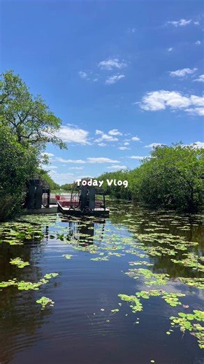 Everglades National Park Airboat Tour: See Alligators & Wildlife