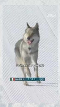The surprise appearance of Nazgul was consistently a top performer for NBC Sports Olympic coverage