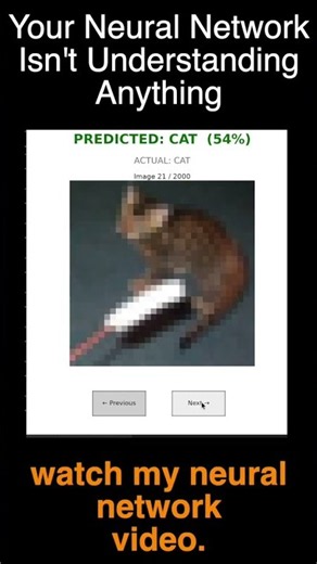 Your Neural Network Isn't Understanding Anything