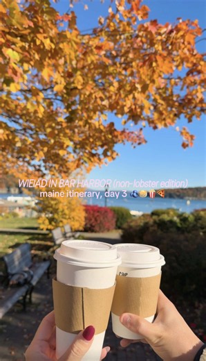 everything we ate in bar harbor, maine (non-lobster edition) // itinerary day 3 of our couples trip before the wedding 🫐🥞🍿🍕 #barharbormaine #wieiad #maineitinerary #everythingweate #wieiadrealistic