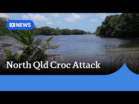 Man injured in crocodile attack near Ingham in north Queensland | ABC NEWS