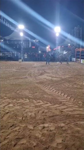 Quarter Horse Falls While Competing in Fast Barrel Race at Rodeo