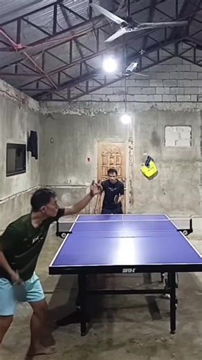 Table Tennis Highlights: Skills and Techniques