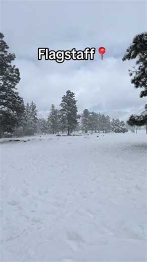 Exploring Flagstaff, Arizona on Christmas Day