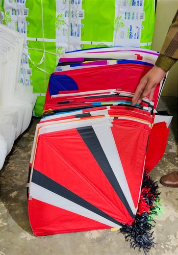 Exciting Kite Collection for Basant 2025
