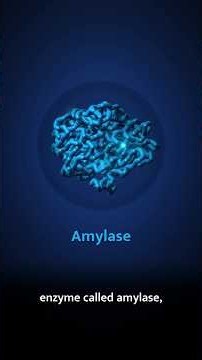 More shapes than atoms in the universe. #protein #proteinfolding #alphafold #biology #nobelprize
