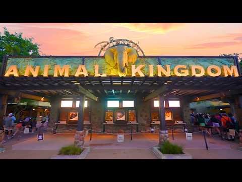 Disney's Animal Kingdom — 28th Anniversary Ride POVs — Walt Disney World Resort | 4K 60FPS