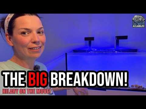 Breaking Down My Tank: How to Safely Move Fish & Corals Into Temporary Tanks | Hilary On The Move!