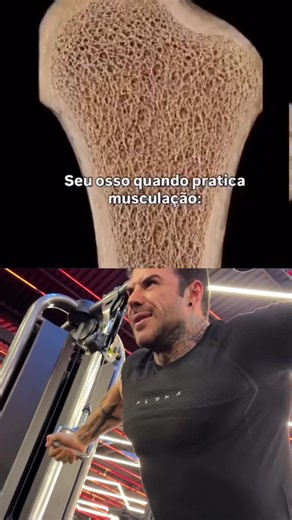 Você sabia que a densidade óssea de quem pratica musculação é significativamente maior do que a de quem não se exercita? 💪 Isso acontece porque o treinamento de força estimula a produção de células ósseas, tornando nossos ossos mais fortes e resistentes. Além de construir músculos, a musculação é essencial para manter a saúde dos ossos e prevenir doenças como a osteoporose. Imagine o impacto que isso pode ter na sua vida a longo prazo! Não é apenas sobre estética, mas sobre saúde e qualidade de