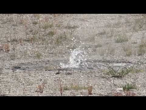 Model C Geyser (2017)