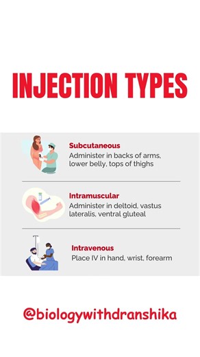 💉 Injection Types Made Simple! #injection #types #nursingfundamentals #healthcareeducation #doctor