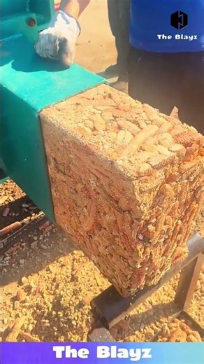 Massive Corn Blocks Coming Out of the Machine! Amazing Processing Factory