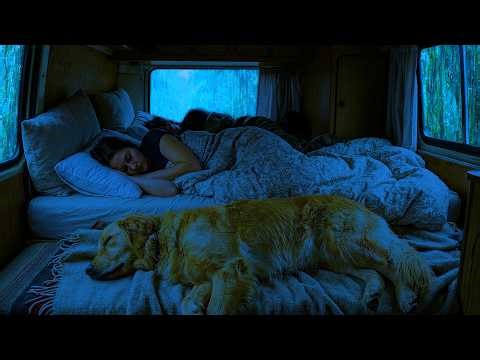 Rain Sounds for Sleeping ⚡ Stormy Night Rain on a Cozy Car Roof for Better Sleep