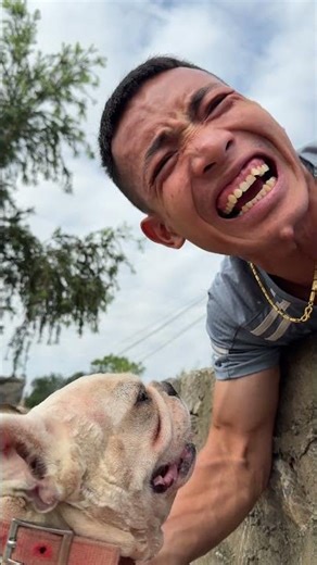 Brave Boy Jumps into a Dangerous River to Save a Dog – Emotional Rescue Story#dogs #lovedog #pets