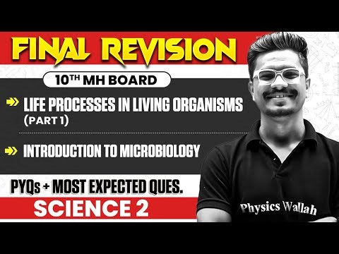 🚨Class 10 Final Revision - Science 2 (Biology) | IMP Concepts + PYQs + Expected Qs | MH Board