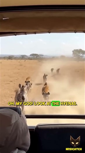 You Won’t Believe What This Zebra Did to Survive 😳🦓💨