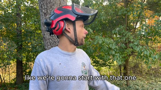 📍 Southeast Michigan | Dungrove Tree Service In this one, Garrison talks about the benefits of scheduling all of your tree work together, especially if the trees are near each other. You could potentially save thousands. See why in this video! 🪓 Whether you’ve got a tree leaning over your roof, between your house and your garage, or just making you nervous, we’re here to help. ✅ Call (734) 480-8306 or visit https://dungrovetreeservice.com to book your free estimate. 🔧 Services Featured: ✔️ Tr