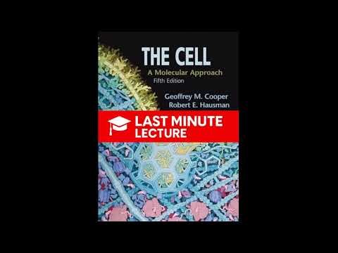 An Overview of Cells and Cell Research | Chapter 1 – The Cell: A Molecular Approach (5th)