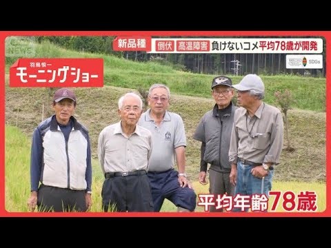 平均年齢78歳！コメ作り素人集団の挑戦　台風や猛暑に負けない新品種　稲の背丈に注目【羽鳥慎一モーニングショー】(2026年9月30日)