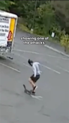 Mystery animal attacking people in Lebanon, New Hampshire #shorts