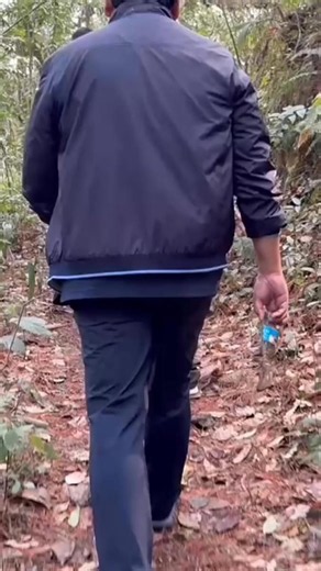 Conrad K Sangma