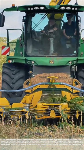 Stripping the Stalks: How a Corn Combine Turns a Field into Grain