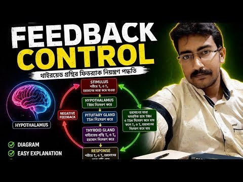 Feedback Mechanism in Biology🔥| Positive & Negative Feedback|Class 10 Life Science |Full Explanation