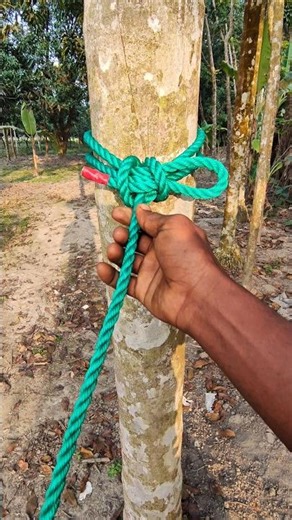 Incredible knot_Simple But Work's Perfectly!!