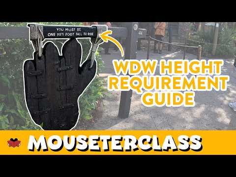 2026 Complete Height Requirement Guide to ALL Walt Disney World Attractions