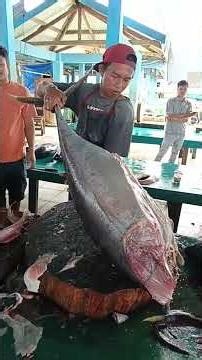 Amazing ‼️ How to peeling tuna skin