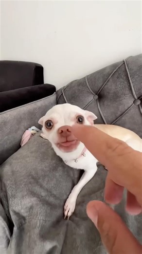 Niki loves you all 😱😍