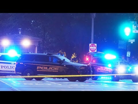 ‘Don’t live in reality’: Dems torn apart over false flag theories following WH shooting